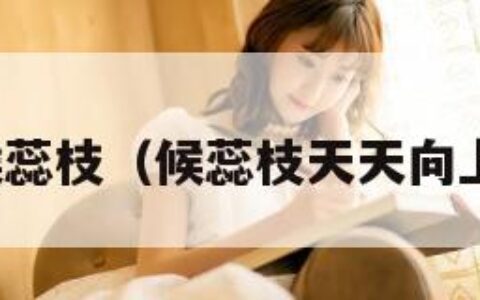 候蕊枝（候蕊枝天天向上）