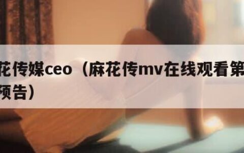 麻花传媒ceo（麻花传mv在线观看第15集预告）