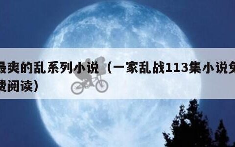 最爽的乱系列小说（一家乱战113集小说免费阅读）