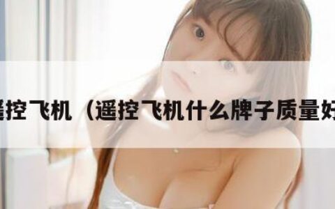 遥控飞机（遥控飞机什么牌子质量好）