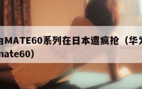 华为MATE60系列在日本遭疯抢（华为手机mate60）