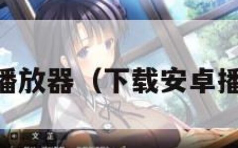 下载安卓播放器（下载安卓播放器app）