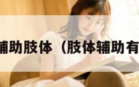 混合辅助肢体（肢体辅助有哪些）