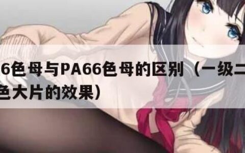 PA6色母与PA66色母的区别（一级二级调色大片的效果）