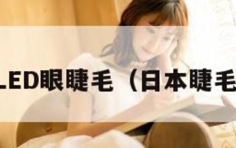 日本LED眼睫毛（日本睫毛排名）