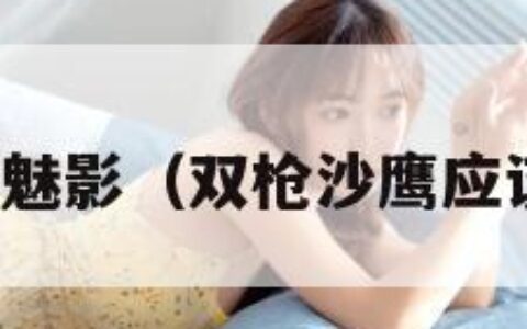 双枪沙鹰魅影（双枪沙鹰应该怎么配）