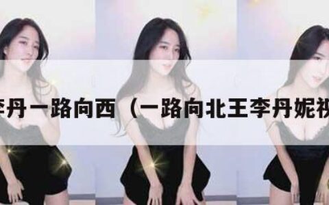 王李丹一路向西（一路向北王李丹妮视频）