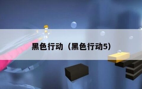 黑色行动（黑色行动5）