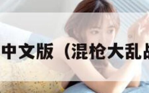 混打枪战中文版（混枪大乱战中文版）