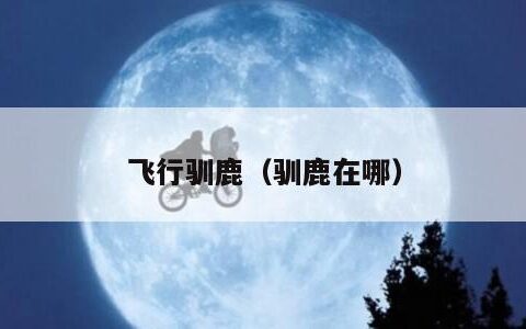 飞行驯鹿（驯鹿在哪）