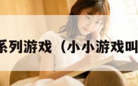 小小系列游戏（小小游戏叫什么）