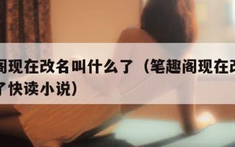 笔趣阁现在改名叫什么了（笔趣阁现在改名叫什么了快读小说）