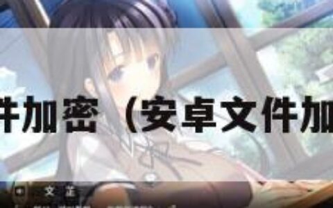 安卓文件加密（安卓文件加密大师）