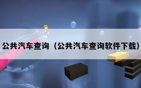 公共汽车查询（公共汽车查询软件下载）
