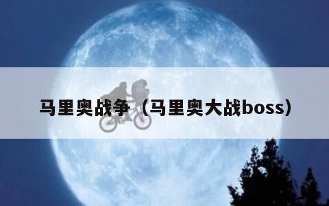 马里奥战争（马里奥大战boss）