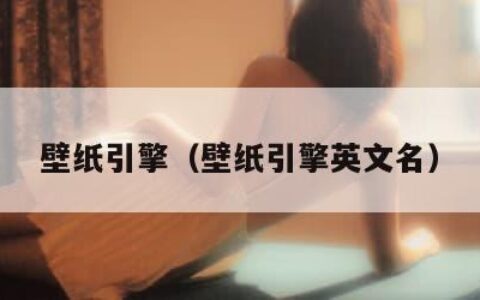 壁纸引擎（壁纸引擎英文名）