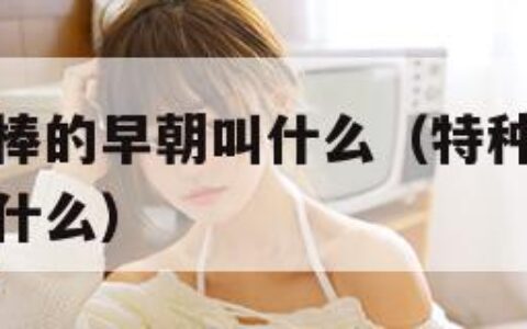 皇上骑带木棒的早朝叫什么（特种兵营里被轮流的小说叫什么）