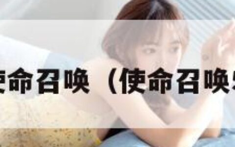 使命召唤（使命召唤5）