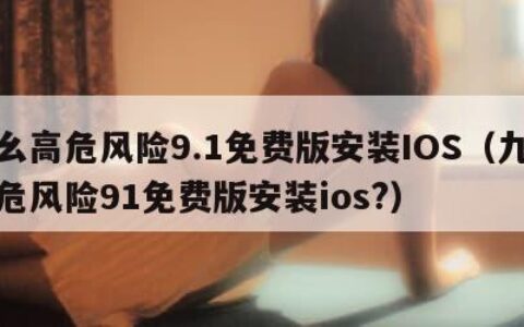 九幺高危风险9.1免费版安装IOS（九幺高危风险91免费版安装ios?）