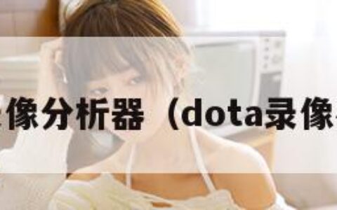 dota录像分析器（dota录像在哪里）