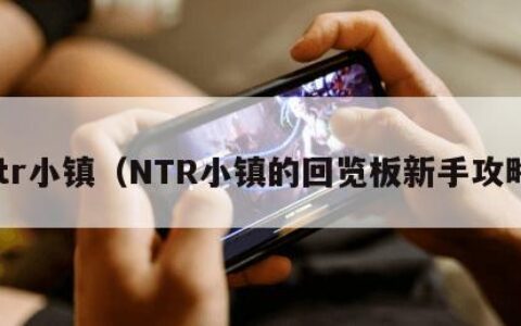 ntr小镇（NTR小镇的回览板新手攻略）