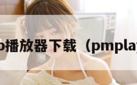 pmp播放器下载（pmplayer）