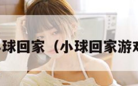小球回家（小球回家游戏）