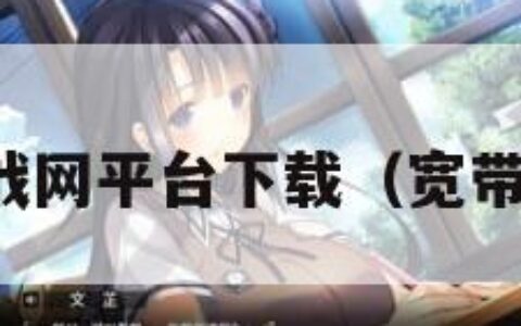 宽带中国战网平台下载（宽带中国网站）