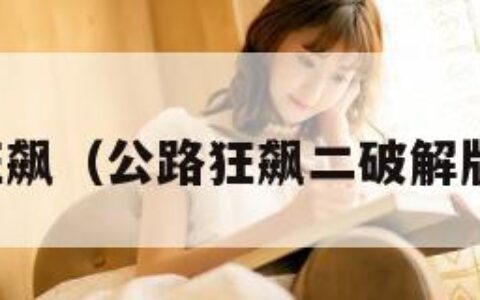 公路狂飙（公路狂飙二破解版下载）