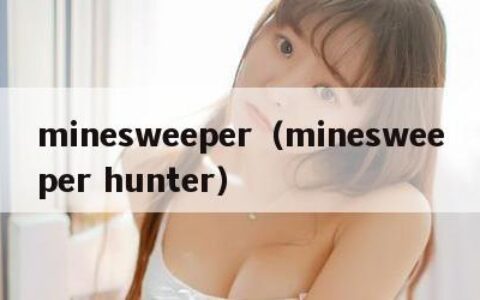 minesweeper（minesweeper hunter）