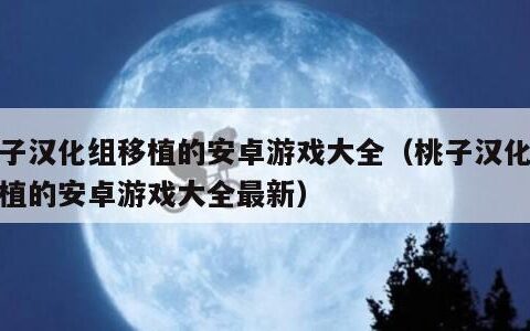 桃子汉化组移植的安卓游戏大全（桃子汉化组移植的安卓游戏大全最新）