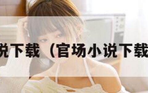 官场小说下载（官场小说下载百度云）