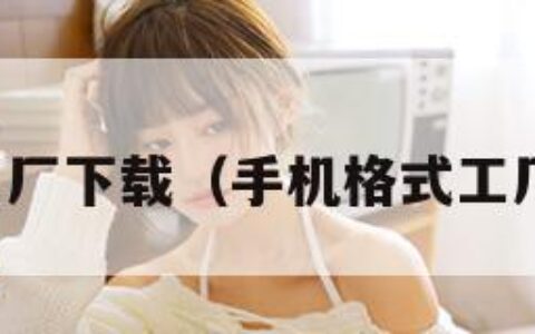 手机格式工厂下载（手机格式工厂官方下载）