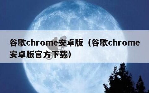 谷歌chrome安卓版（谷歌chrome安卓版官方下载）
