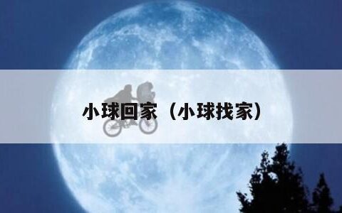 小球回家（小球找家）