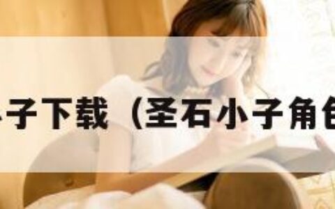 圣石小子下载（圣石小子角色介绍）