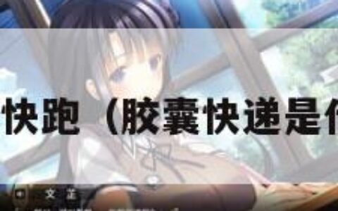 胶囊快跑（胶囊快递是什么）