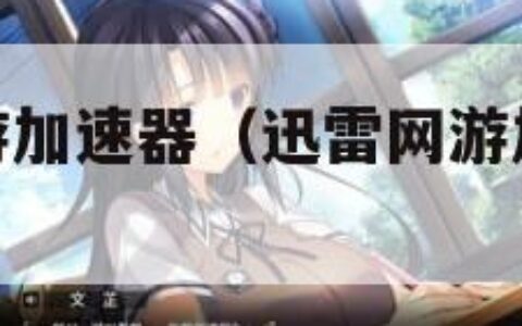 迅雷免费网游加速器（迅雷网游加速器多少钱一个月）