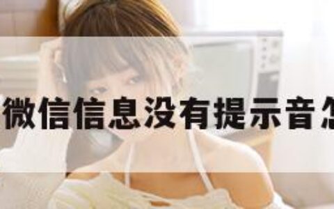 微信信（微信信息没有提示音怎么回事）