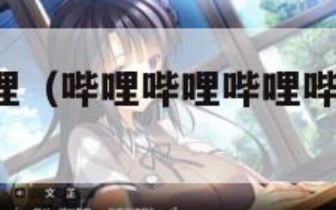 哔哩哔哩哔哩（哔哩哔哩哔哩哔哩HD的区别）