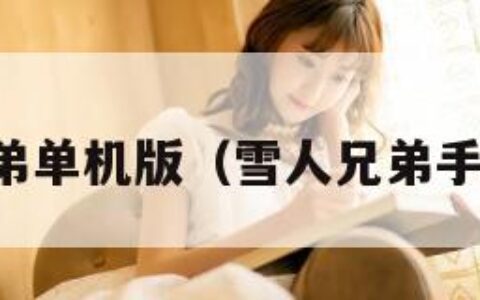 雪人兄弟单机版（雪人兄弟手机游戏）