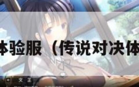 传说对决体验服（传说对决体验服下载）