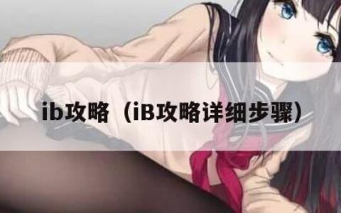 ib攻略（iB攻略详细步骤）