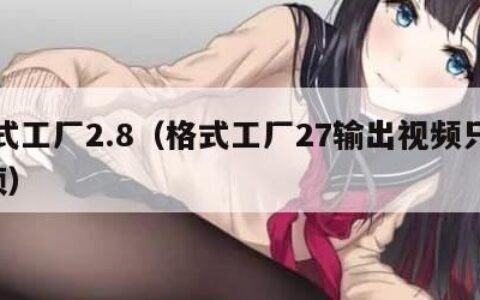 格式工厂2.8（格式工厂27输出视频只有0帧）