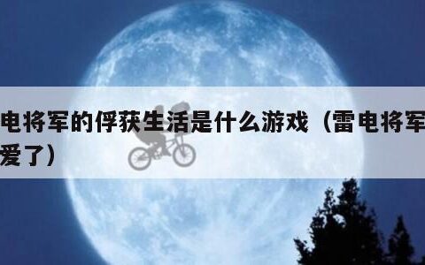 雷电将军的俘获生活是什么游戏（雷电将军太可爱了）