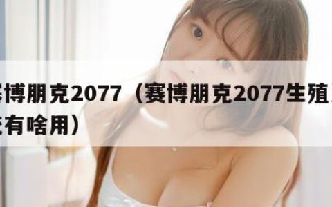 塞博朋克2077（赛博朋克2077生殖系统有啥用）