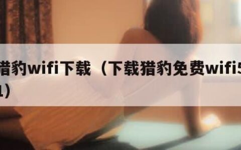 猎豹wifi下载（下载猎豹免费wifi51）
