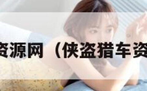 侠盗猎车资源网（侠盗猎车资源网下载）