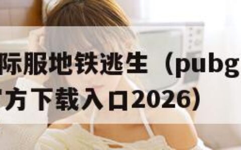 PUBG国际服地铁逃生（pubg国际服地铁逃生官方下载入口2026）