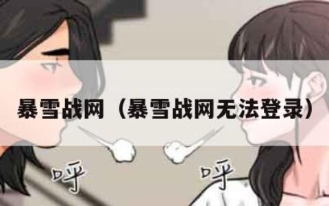 暴雪战网（暴雪战网无法登录）